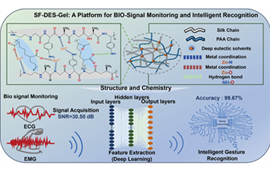 Ultra-robust silk-based eutectogel enabled by polymeric reconstruction and supramolecular network reinforcement for intelligent bioelectronics 2026.101116